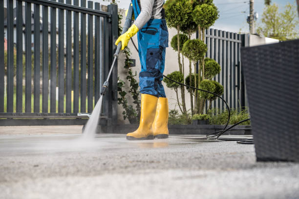 Best Roof Pressure Washing  in Duarte, CA