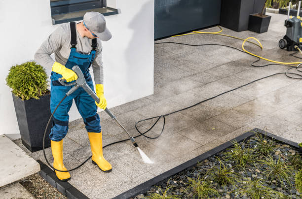 Best Roof Pressure Washing  in Duarte, CA